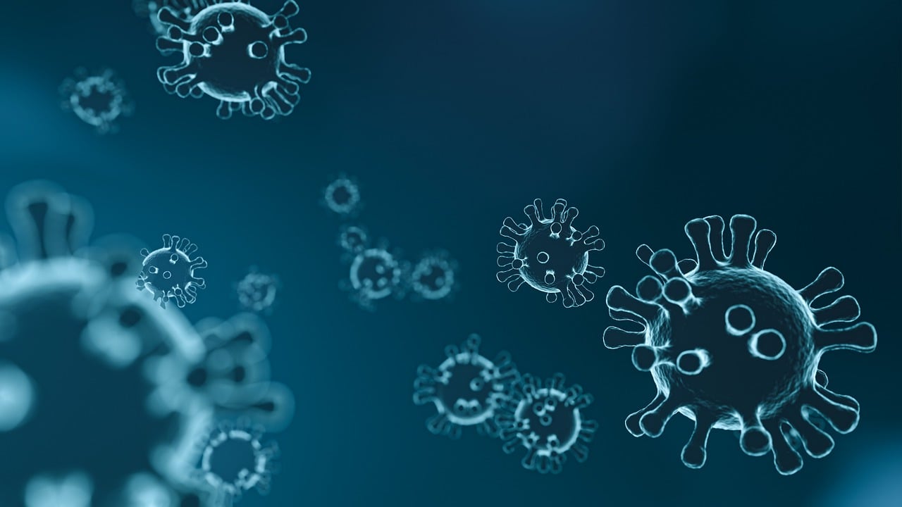 entdecken sie alles wissenswerte über das immunsystem: wie es funktioniert, wie sie es stärken können und warum eine starke immunabwehr für ihre gesundheit so wichtig ist.